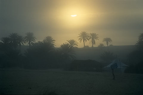 http://www.transafrika.org/media/Bilder Mauretanien/oase afrika.jpg